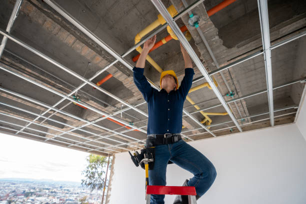 Best Plumbing Inspection Services  in Billings, MT
